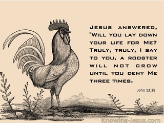 John 13:38 A Rooster Will Not Crow Until You Deny Me Three Times (pink)